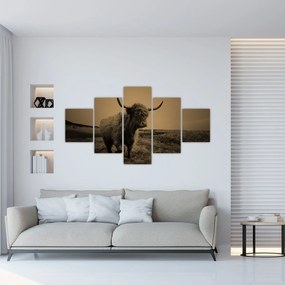 Obraz - Szkocka krowa na wolności (125x70 cm)