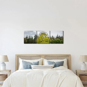 Obraz zielonego drzewa na środku pola (z zegarem) (90x30 cm)