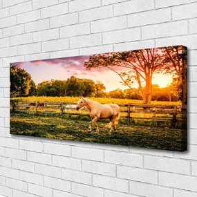 Obraz na płótnie Dzikie Konie na Pastwisku