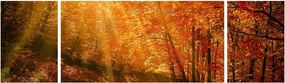 Obraz jesiennego lasu (170x50 cm)