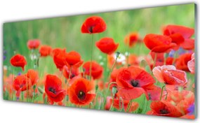 Panel Szklany do Kuchni Polne Kwiaty w Słońcu