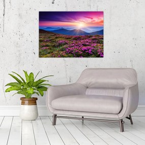 Obraz na szkle - Krajobraz kwitnących gór (70x50 cm)