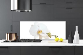 Panel Szklany do Kuchni Subtelny Akcent Botaniczny