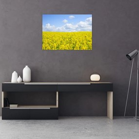 Obraz żółtego pola (70x50 cm)