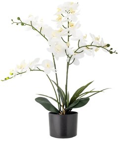 Sztuczny kwiat (wysokość 84 cm) Orchid – Bloomingville