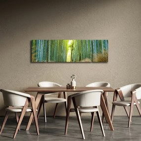 Obraz - Alejka z bambusami (170x50 cm)