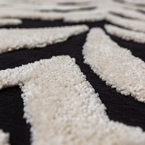 Czarno-biały dywan 200x300 cm Esra Zebra – Flair Rugs