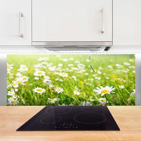 Szkło do Kuchni na Ścianę Polana Białych Stokrotek