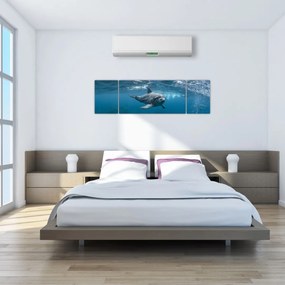 Obraz - Delfin pod wodą (170x50 cm)