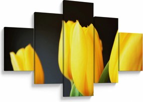 Obraz tulipanów (125x70 cm)