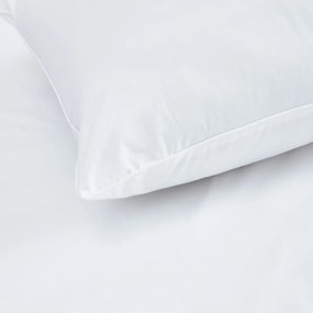 Poduszka 74x48 cm Cotton Spring – Catherine Lansfield