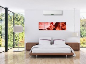 Obraz czerwonych skał (170x50 cm)