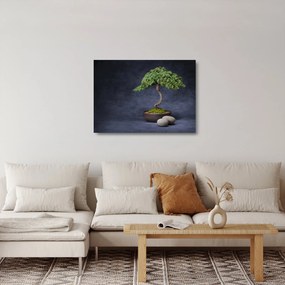 Obraz na szkle - Bonsai (70x50 cm)