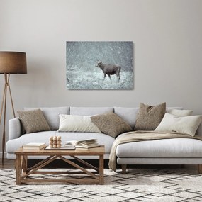 Obraz na szkle - Łoś w śnieżnym lesie (70x50 cm)