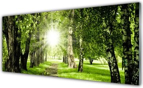 Panel nad blat kuchenny Rozświetlona Ścieżka Leśna