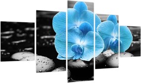 Obraz - Niebieska Orchidea (125x70 cm)