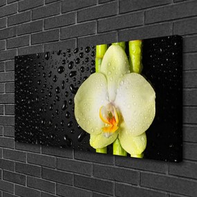 Obraz Canvas Bambus Kwiaty Orchidea