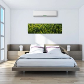Obraz - Gęsty las (170x50 cm)