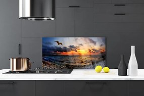 Panel Kuchenny Mewa Nad Brzegiem Oceanu