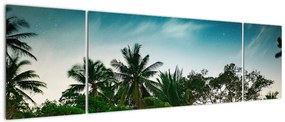Obraz - palmy (170x50 cm)