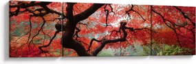 Obraz czerwonego klonu japońskiego, Portland, Oregon (170x50 cm)