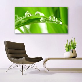 Obraz drukowany na płótnie Tropikalna Flora Liściasta