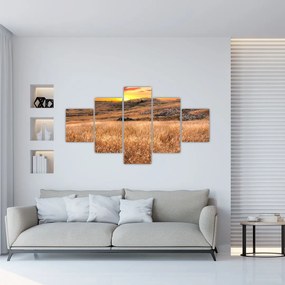 Obraz pola (125x70 cm)
