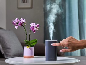 DORMEO 2IN1 HUMIDIFIER  biały