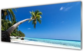 Panel Szklany Rajskie Wybrzeże pod Palmami