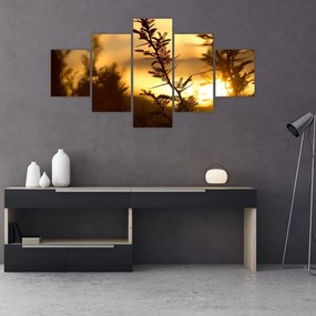 Obraz - słońce zachodzące za drzewami (125x70 cm)