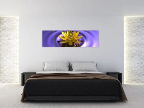 Obraz - Lilia wodna (170x50 cm)