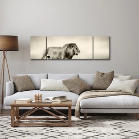 Obraz - Głodny lew (170x50 cm)