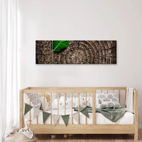 Obraz liścia na pniu drzewa (170x50 cm)