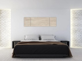 Obraz - Naturalny marmur (170x50 cm)