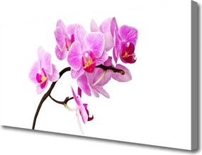 Obraz na płótnie Polne Kwiaty w Słońcu