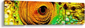 Obraz - Kameleon (170x50 cm)