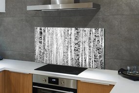 Szklany Panel Czarno-białe brzozy