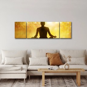 Obraz - Medytacja (170x50 cm)
