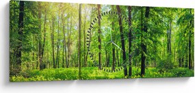 Obraz - Wiosenny las liściasty (z zegarem) (90x30 cm)
