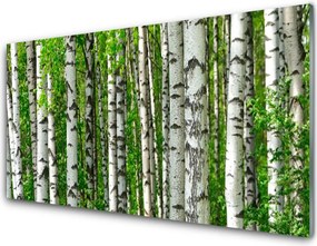 Panel Szklany Dziki Bór Sosnowy