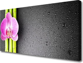 Zdjęcie na płótnie Duet Bambusa i Orchidei