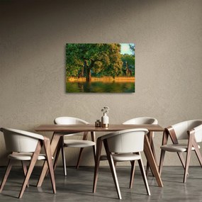 Obraz na szkle - żyrafy w naturze (70x50 cm)