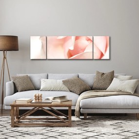 Obraz - Róża (170x50 cm)