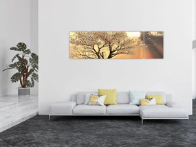 Obraz drzewa na łące (170x50 cm)