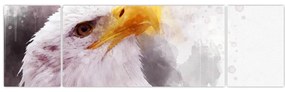 Obraz orła (170x50 cm)