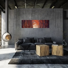 Obraz - Jesienny las (170x50 cm)