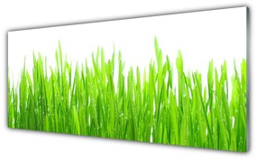 Obraz Szklany Trawa Roślina Natura