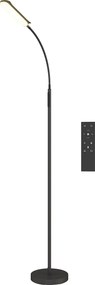 HOMCOM Lampa podłogowa LED, 5 trybów, funkcja pamięci, regulacja jasności, stal, czarny