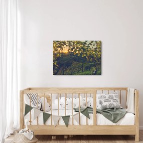 Obraz - Winnica (70x50 cm)