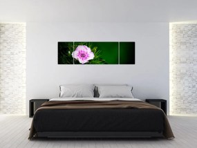Obraz kwiatu róży (170x50 cm)